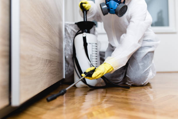 Best Best Pest Control Companies  in Hoxie, AR