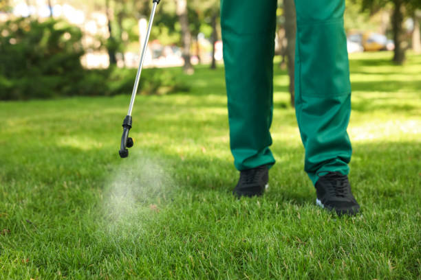 Best Pest Control Near Me in Hoxie, AR